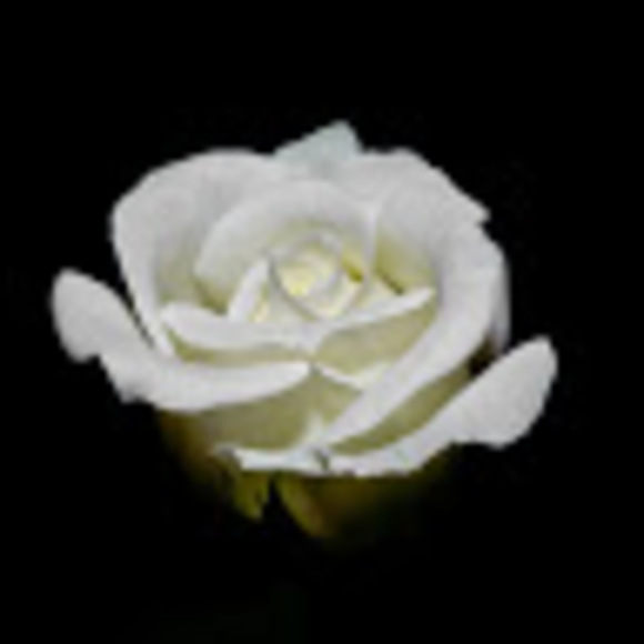 Profile Picture of Sabrina Buls (@sabrinabuls) on Poshmark