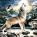 Profile Picture of Robert Halterman (@robert.halterman.7) on Facebook