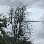 Profile Picture of Joe Supian (@Joe-Supian) on Facebook