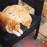 Profile Picture of Adam Zaher (@adamzaher3) on Instagram