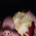 Profile Picture of Alex Reavis (@Alex-Reavis) on Facebook