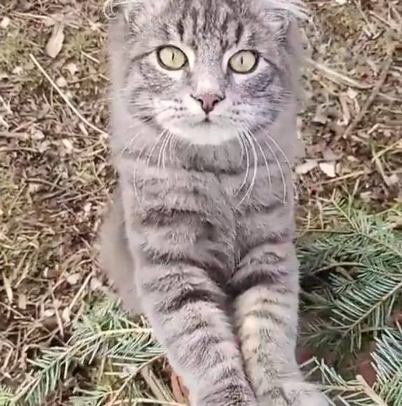 Profile Picture of Sandy Lygren (@sanmarly) on Poshmark