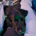 Profile Picture of Carson Crowder (@Carson-Crowder) on Facebook