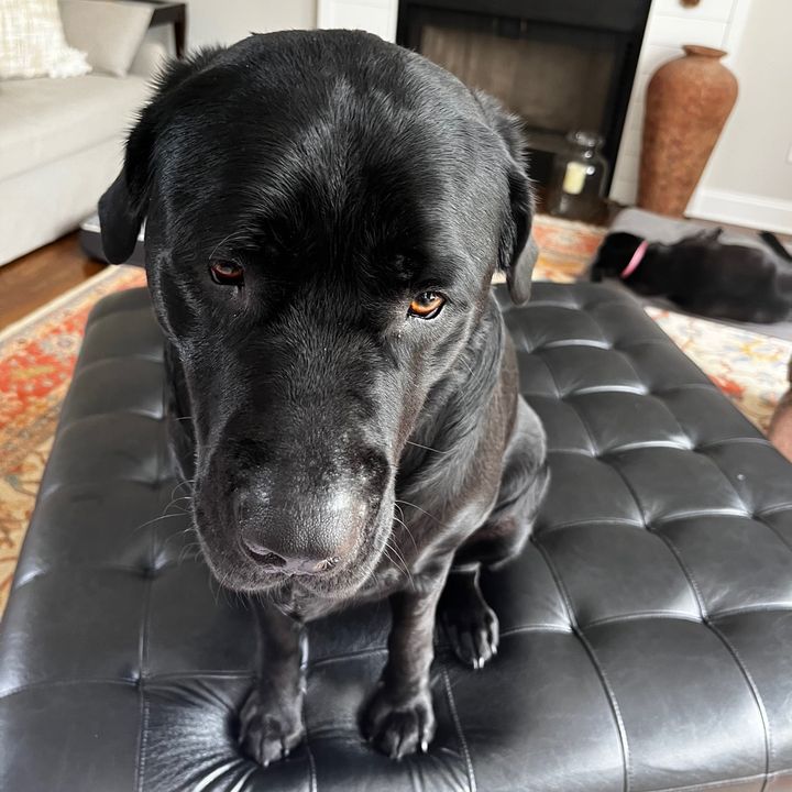 Profile Picture of Felton (@brooooo722) on Tiktok