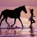 Profile Picture of Brenda Laurinitis (@bsempire) on Pinterest