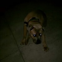 Profile Picture of Dennis Acosta (@dennis-acosta-1) on Quora