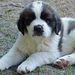 Profile Picture of John Boatwright (@bagboy23) on Pinterest