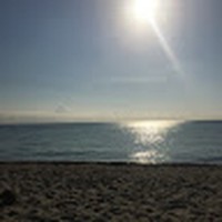 Profile Picture of Josh Aronson (@josh-aronson-11) on Quora