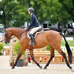 Carly Raymond - Instagram Profile Picture of Carly Raymond (@carlyraymond_eq) on Instagram