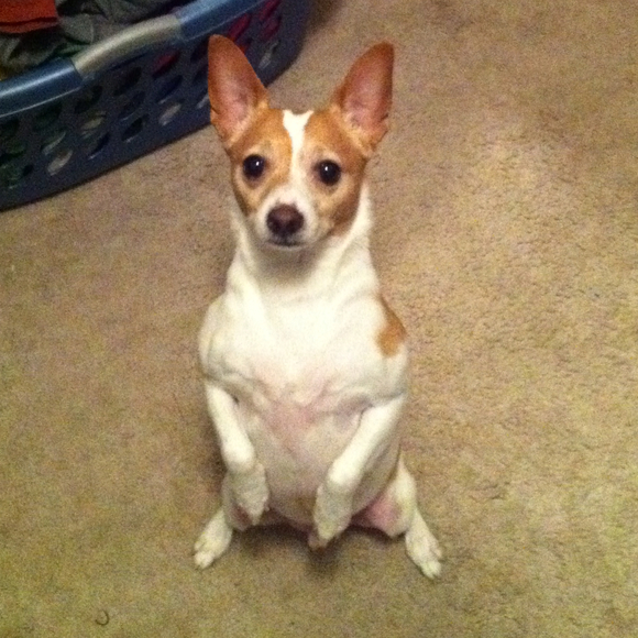 Profile Picture of Amanda Delorme (@amandadelorme) on Poshmark