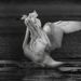 Profile Picture of Erin Clausen (@clio654) on Pinterest