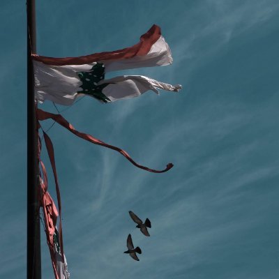 Profile Picture of Imad Moussa Daou (@ImadMoussaDaou1) on Twitter