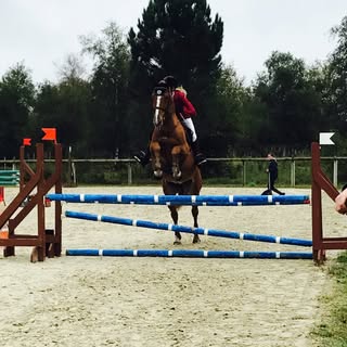 Profile Picture of Laurent Olivia (@laurent_olivia) on Instagram