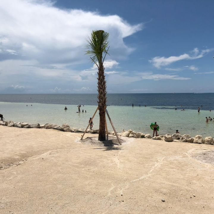 Profile Picture of Brad Liston (@the_chemist15) on Tiktok