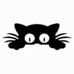 Profile Picture of Sandy Pace (@talanpluss) on Instagram