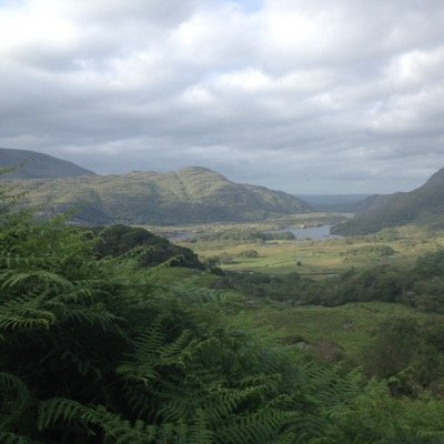 Profile Picture of John Pidgeon (@johngpidgeon) on Twitter