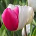 Profile Picture of joseph 界 (@cjoseph52103927) on Pinterest
