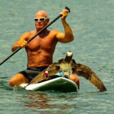 Profile Picture of David Michael Harvin (@DavidMi08666307) on Twitter