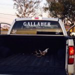 Profile Picture of Dustin (@gallaher.dustin) on Instagram