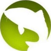 Profile Picture of David Healy FOREST FAMILY FUN (@davidhealyforestfamilyfun6419) on Youtube