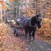 Profile Picture of Daniel Lemelin (@daniel.lemelin.564) on Facebook