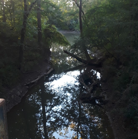 Profile Picture of Brandon Leach (@chunkdummy83) on Poshmark