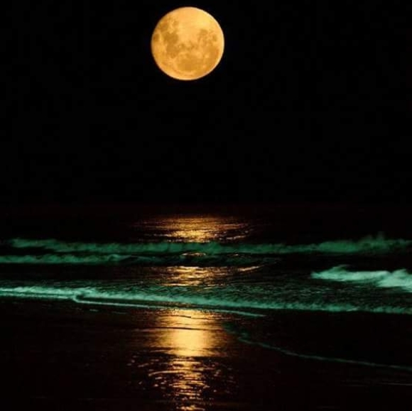 Profile Picture of Omar Jenkins (@mosheh) on Poshmark