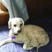 Profile Picture of Daniel Ottinger (@daniel.ottinger.589) on Facebook