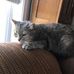 Profile Picture of Crystal Kilmer (@crystal.kilmer.925) on Facebook