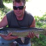 Profile Picture of Ádám Hufnágel (@hufnageladam) on Instagram