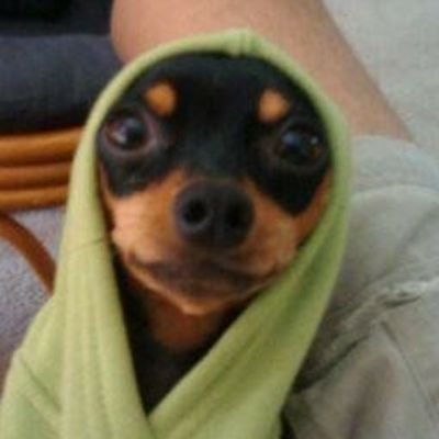 Profile Picture of Matt K (@MattKea94264323) on Twitter