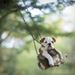 Profile Picture of Haley Skinner (@hgskinner1) on Pinterest