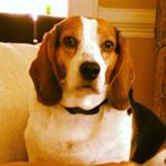 Profile Picture of Thomas W. Dunaway IV (@twdunaway) on Instagram