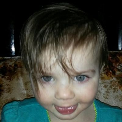 Profile Picture of Robert Strobl (@8480ed8a7a16493) on Twitter