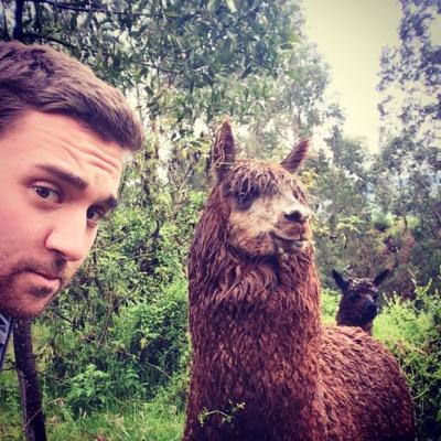 Profile Picture of Hamlin Wade (@hamwade) on Twitter