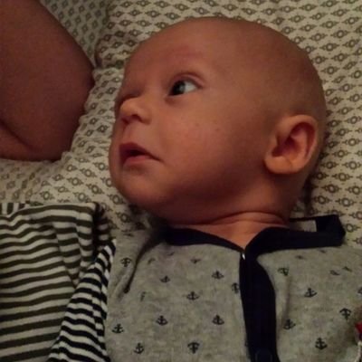 Profile Picture of Devin Schroeder (@devinsch55) on Twitter