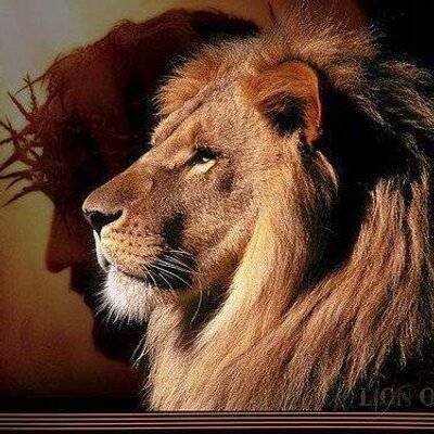 Profile Picture of Андрей Горлов (@AndreyGorlov) on Twitter