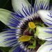 Profile Picture of Mariana Clemente (@maruines) on Pinterest