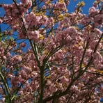 Profile Picture of Michelle Haslauer (@Michelle-Haslauer) on Facebook