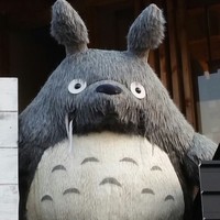 Profile Picture of Leo Choy (@leo-choy-1) on Quora