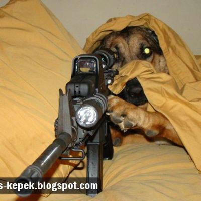 Profile Picture of KevinMeixner (@M31xn3r) on Twitter