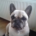 Profile Picture of Fauvert Jean (@fauvert.jean) on Facebook