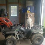 Profile Picture of Dixie Lynn Carlson (@dixie_lynn0412) on Instagram