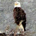 Profile Picture of David Proctor (@dproctorrn) on Instagram