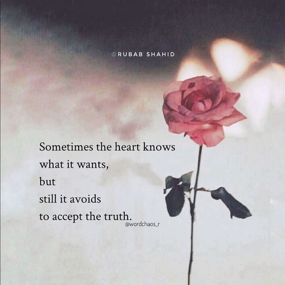 Profile Picture of Dalal Elabrd (@dalal620) on Poshmark