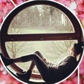 Profile Picture of Ann Dostal (@anniedostal01) on Twitter