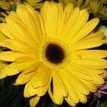 Profile Picture of Paula Wiggs (@paula.wiggs) on Facebook