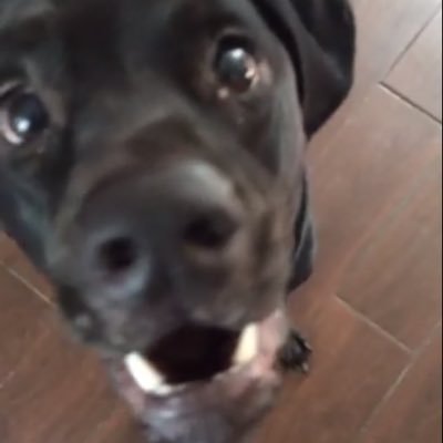 Profile Picture of Nick Tipton (@NickTipton13) on Twitter