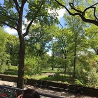 Profile Picture of Renee Perron (@renee-perron-3) on Quora