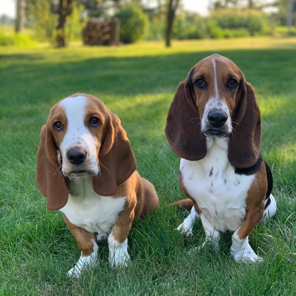 Profile Picture of Samantha Kneeskern (@skkneeskern) on Poshmark